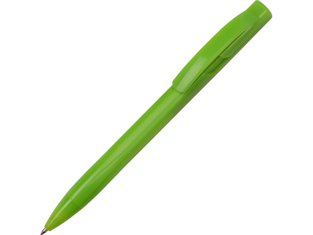Ручка пластиковая шариковая Лимбург