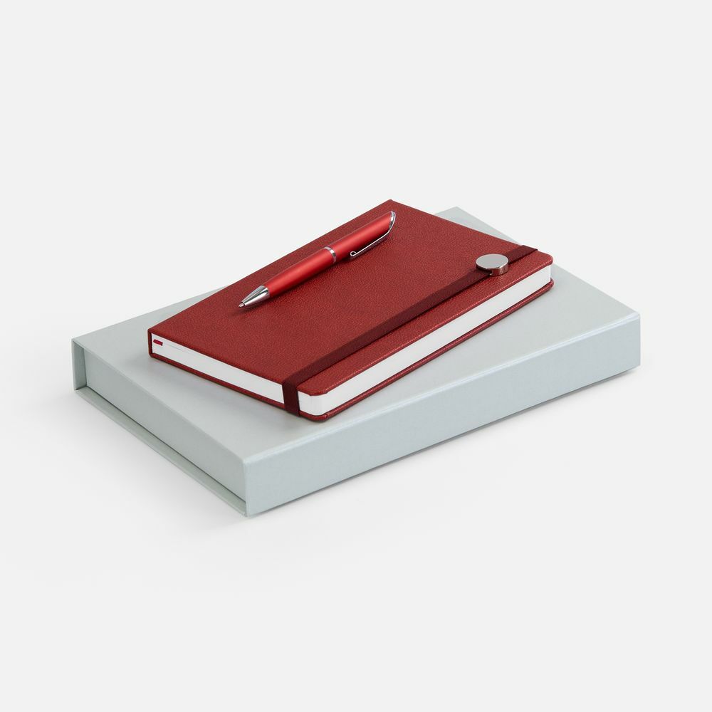 Набор Coach, красный