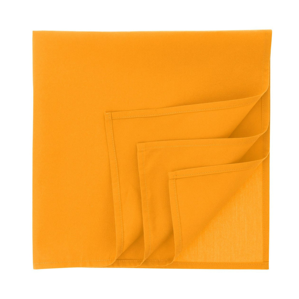 Бандана GOAL-S