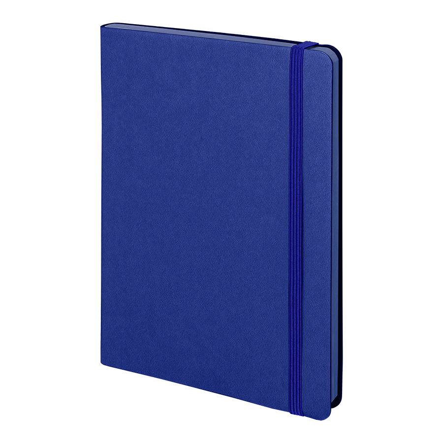 Бизнес-блокнот "RILY", формат А5,  синий, блок в точку