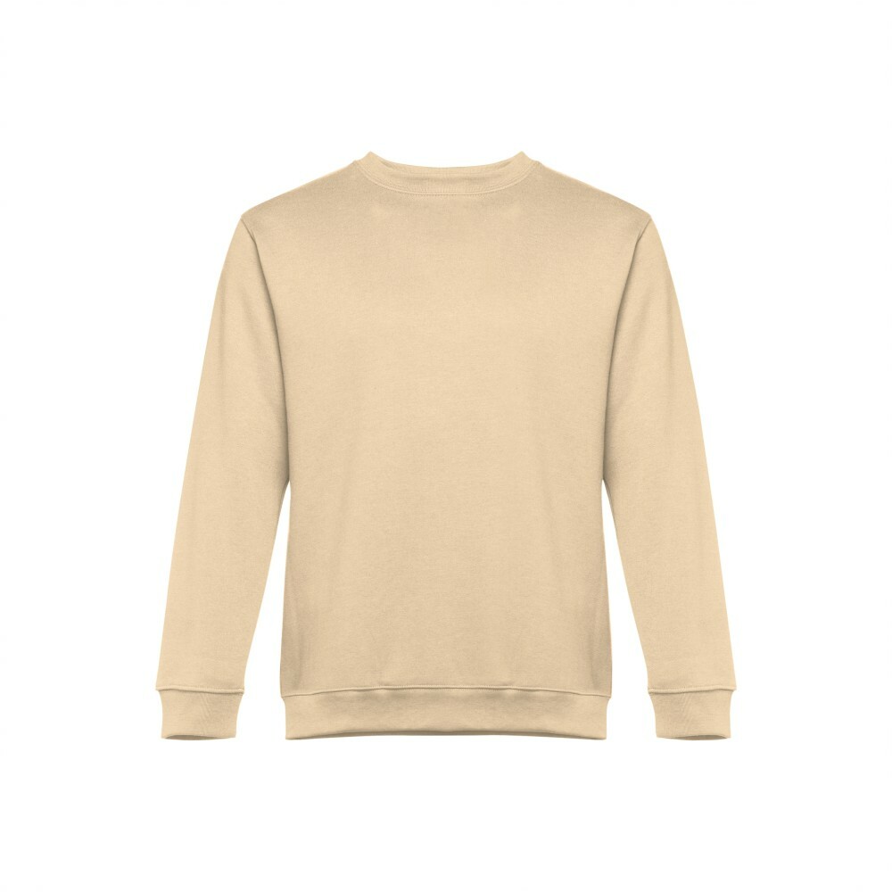 Толстовка мужская DELTA 300