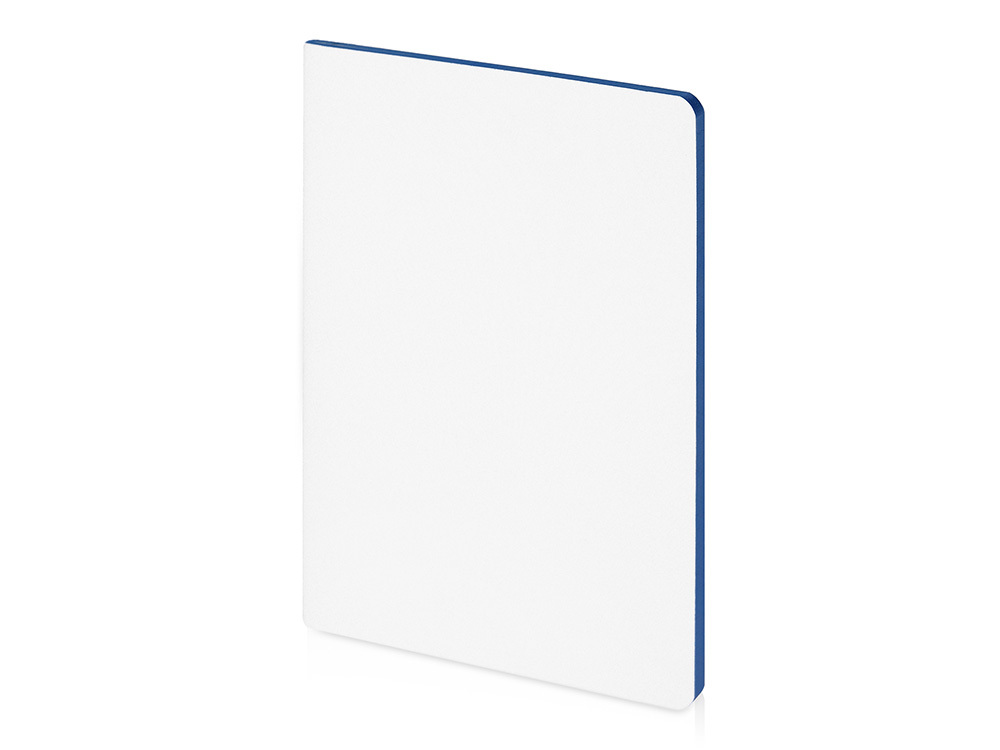 Бизнес-тетрадь А5 &quot;Pragmatic Contrast&quot;, 40 листов в клетку, белый с голубым срезом