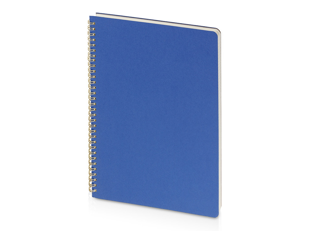 Бизнес тетрадь на гребне А4 &quot;Pragmatic&quot;, 100 листов в клетку, синий