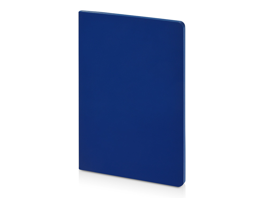 Бизнес-тетрадь А5 &quot;Pragmatic Contrast&quot;, 40 листов в клетку, синий с синим срезом