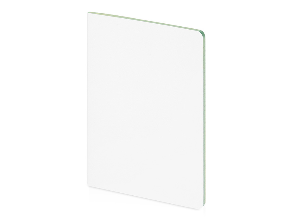 Бизнес-тетрадь А5 &quot;Pragmatic Contrast&quot;, 40 листов в клетку, белый с салатовым срезом