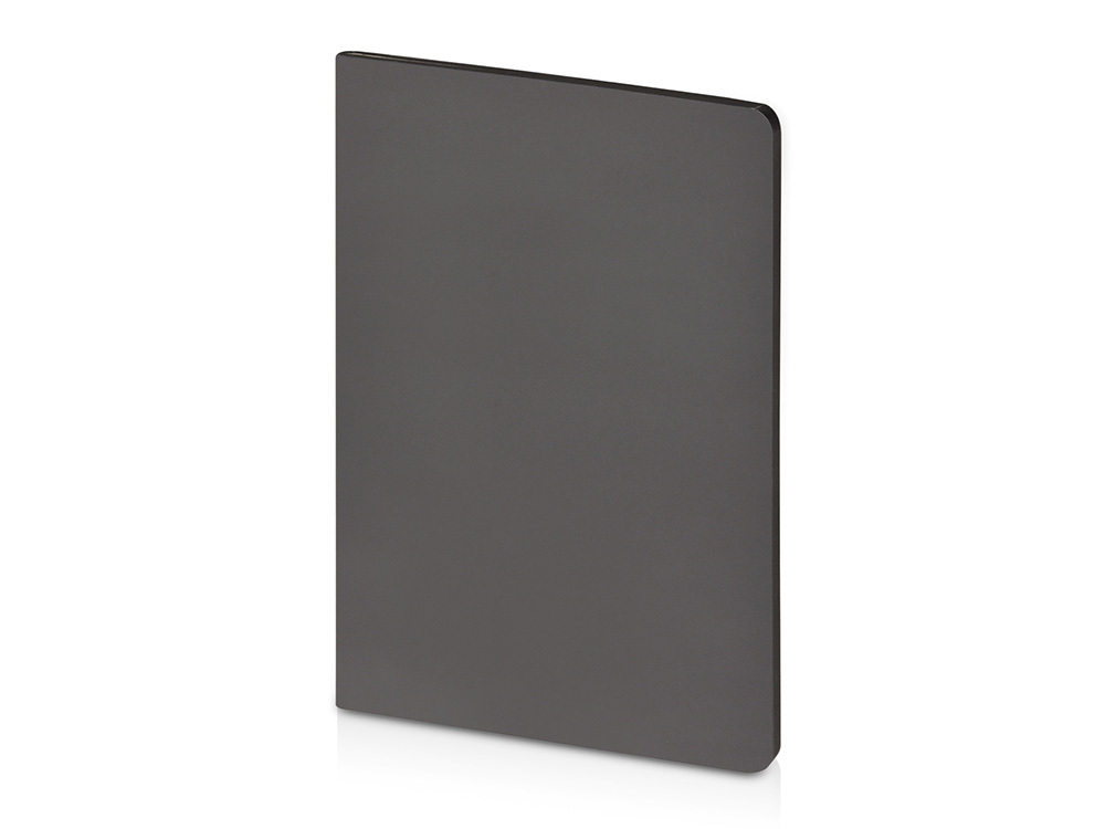 Бизнес-тетрадь А5 &quot;Pragmatic Contrast&quot;, 40 листов в клетку, серый с черным срезом