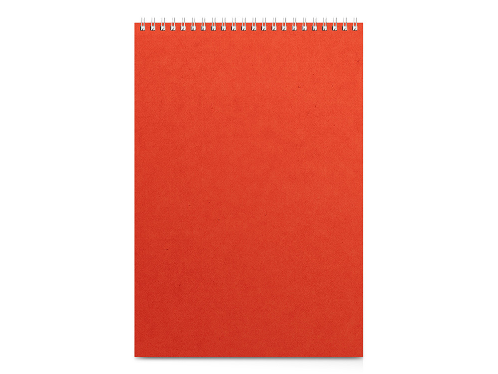 Бизнес - блокнот А4 (198 х 285 мм) &quot;Office&quot; 60 л., оранжевый