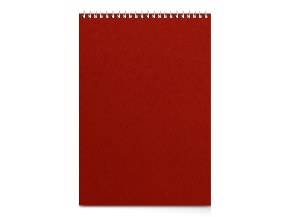 Бизнес - блокнот А4 (198 х 285 мм) &quot;Office&quot; 60 л., красный
